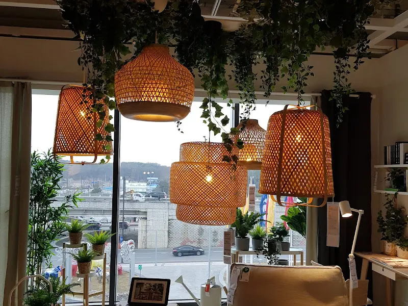 라탄 조명과 식물