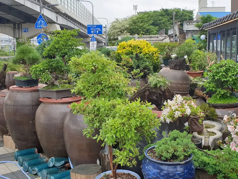 푸짐한 한 상 차림