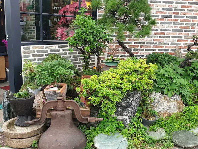 싱그러운 화분 장식