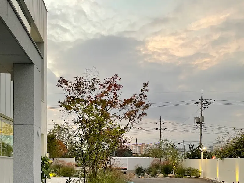 로즈모먼트 브런치