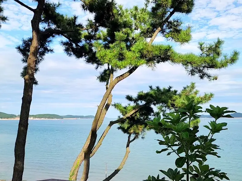 원산도 카페 바이더오 앞바다 풍경