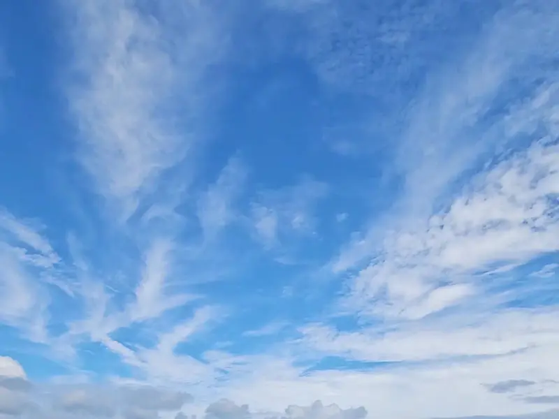 카페 바이더오에서 올려다 본 하늘