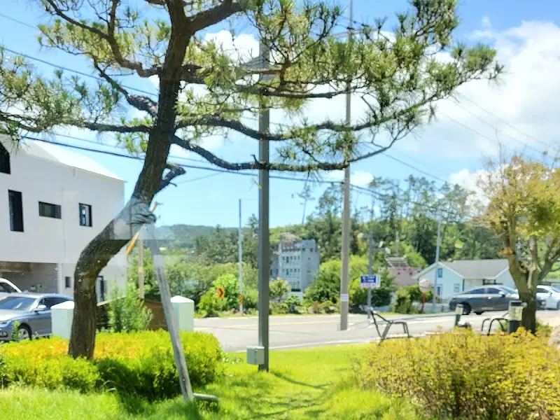 카페 주변 풍경