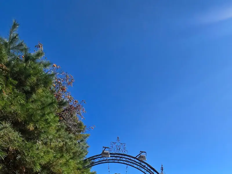 파란 하늘과 초대의 조화