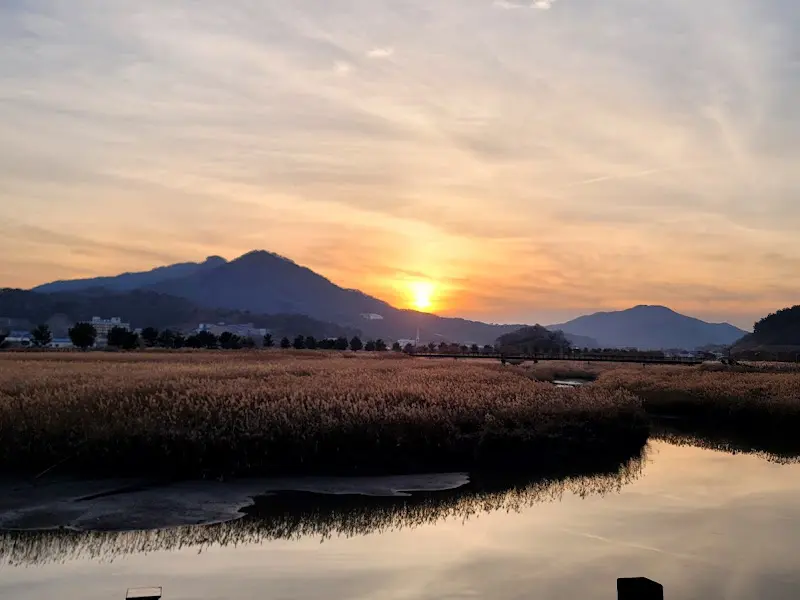 갈대밭 노을