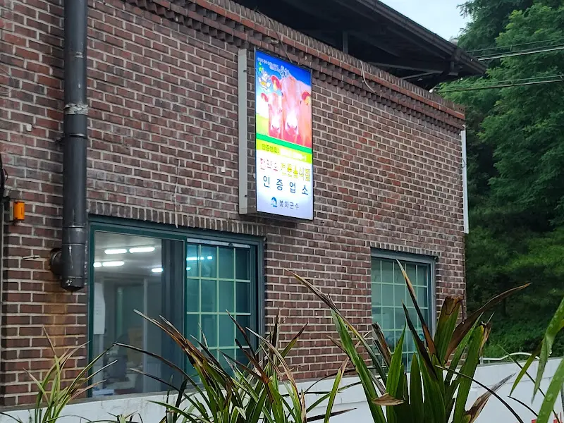 푸짐한 한 상 차림