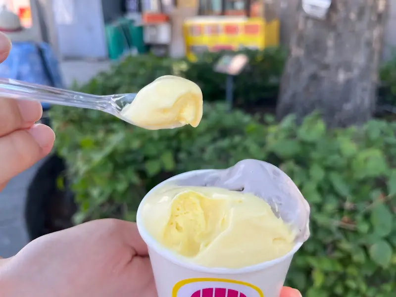 두 가지 맛 젤라또의 아름다운 색감