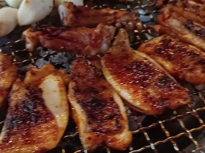 닭갈비 근접샷