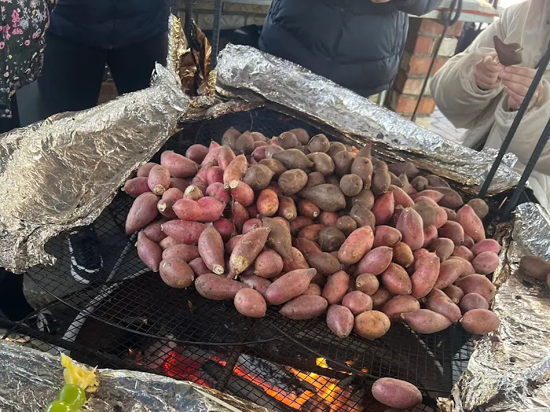 모닥불 위에서 구워지고 있는 군고구마