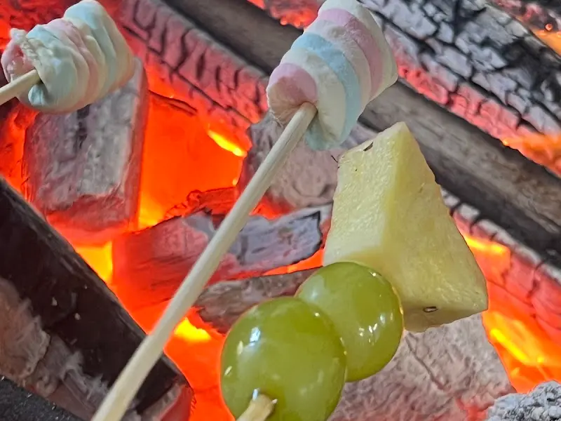 모닥불 위에서 구워지고 있는 마시멜로우 꼬치