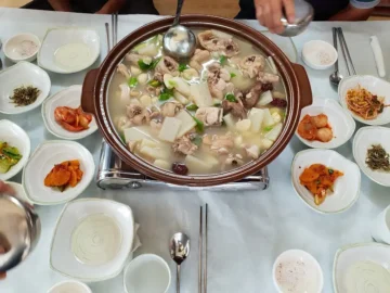 토종닭의 과학, 부안 호박가든에서 발견한 닭볶음탕 맛집의 비밀