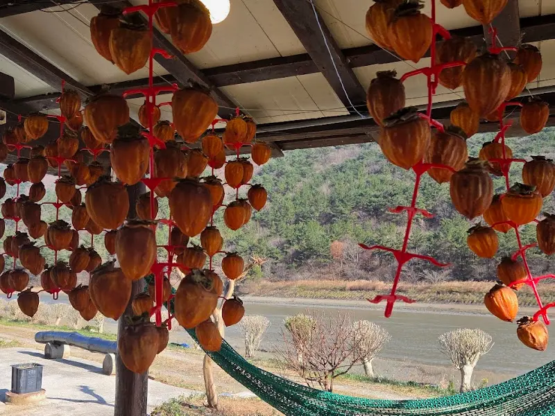 정자에서 바라본 풍경