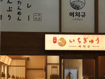 원주에서 만나는 특별한 풍미, 무실동 규카츠 맛집 탐험기