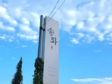 숨겨진 보은 맛집! 송화식당에서 즐기는 푸짐한 솥밥 한 상, 이거 완전 혜자다!