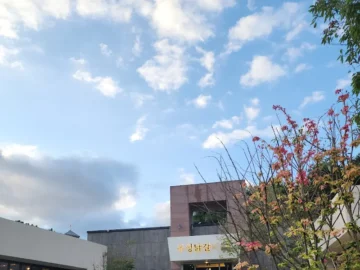 춘천 우성닭갈비, 레전드 맛집! 넉살처럼 녹아드는 닭갈비 맛에 힙스터 기절각