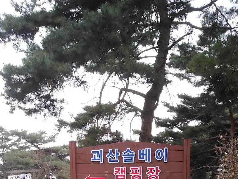 식당 주변의 소나무 숲