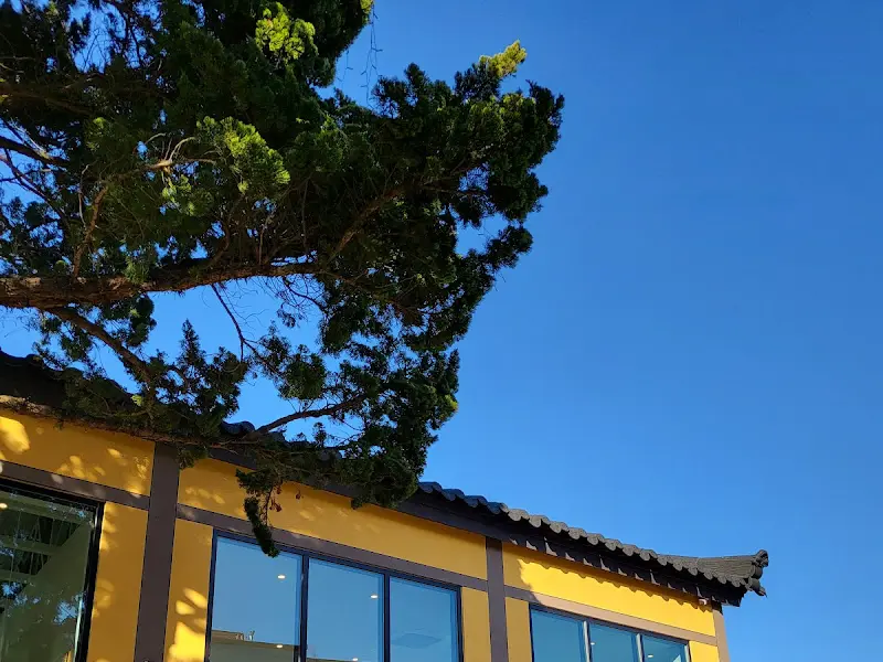 만랩커피 건물의 측면 모습. 노란색 벽과 검은색 기와지붕이 조화를 이루며, 푸른 하늘과 대비되어 더욱 아름답게 보인다.