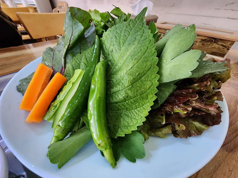 싱싱한 쌈 채소 클로즈업