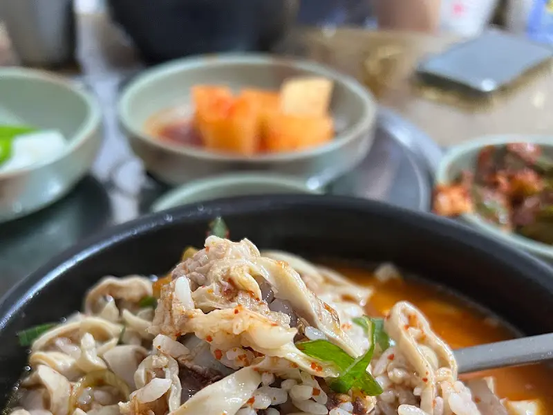 순대국밥 근접 촬영
