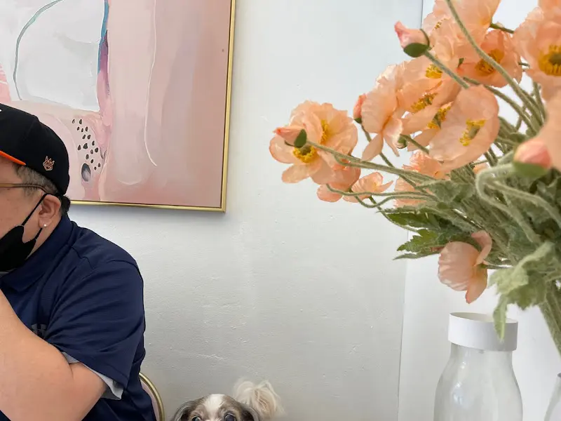 테이블 위의 꽃 장식과 강아지