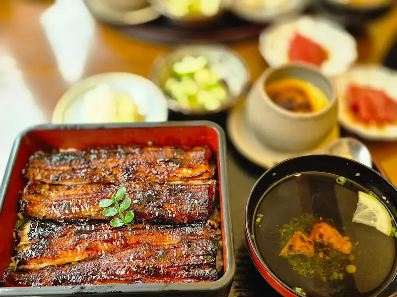 다양한 각도에서 찍은 장어덮밥