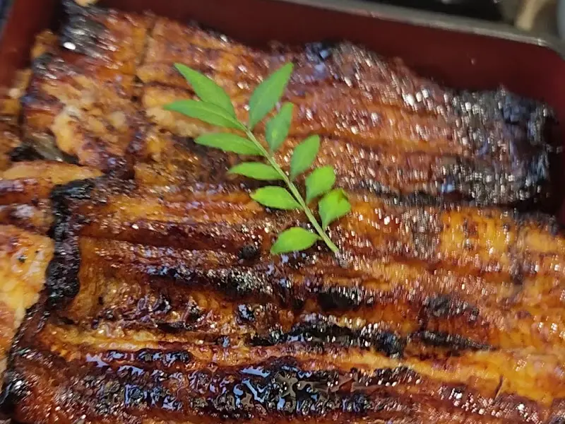 장어덮밥 클로즈업