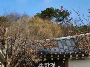 상당산성 데이트는 여기에서 마무리! 청주 토박이도 인정한 닭요리 맛집
