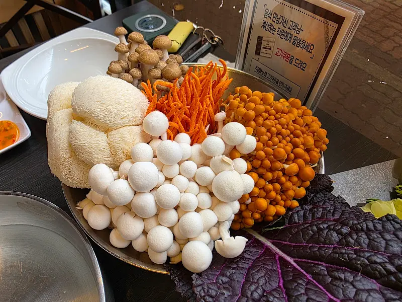 다양한 종류의 버섯 모둠