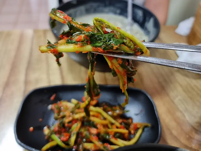 열무김치를 젓가락으로 집는 모습