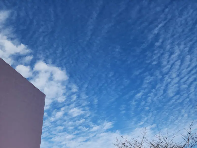 로우풀 카페 전경