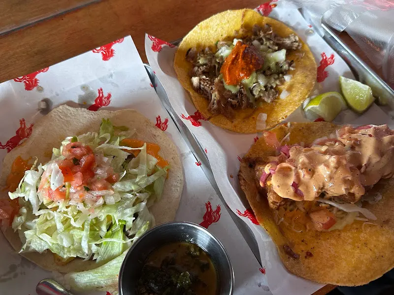 다채로운 색감의 타코