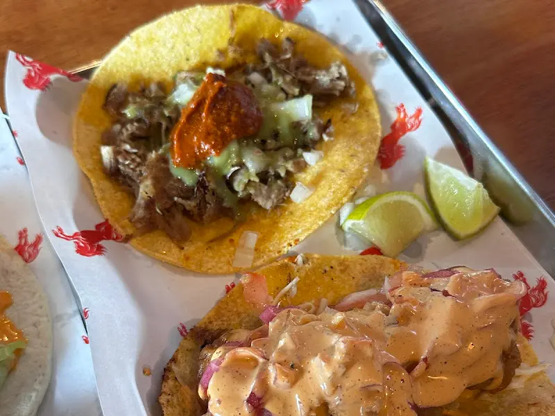 비리아 타코 상세 샷