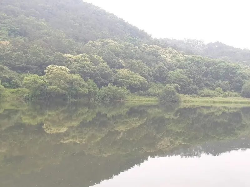 강물에 비친 산의 모습