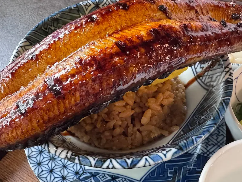 장어덮밥 클로즈업