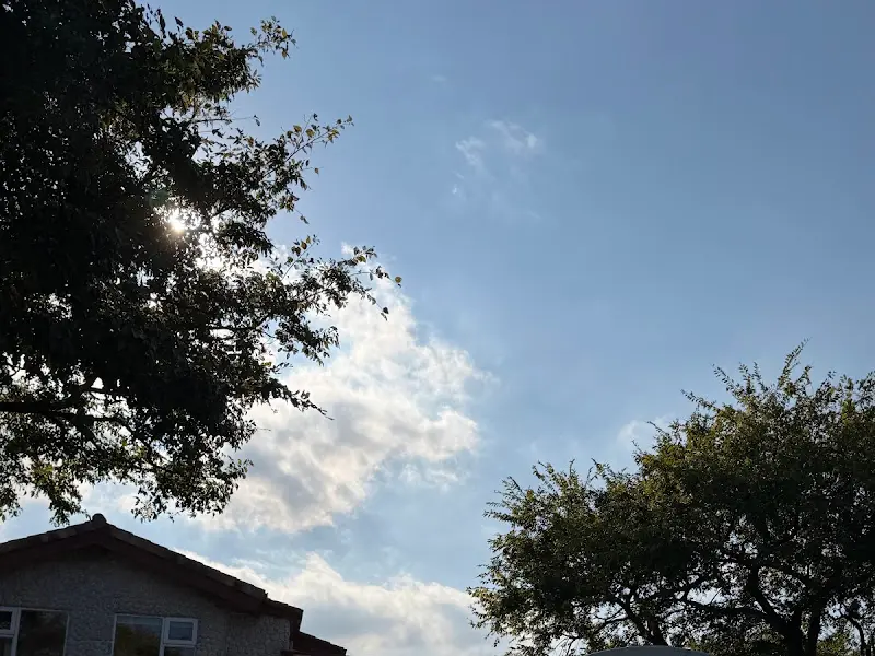 푸른 하늘과 나무