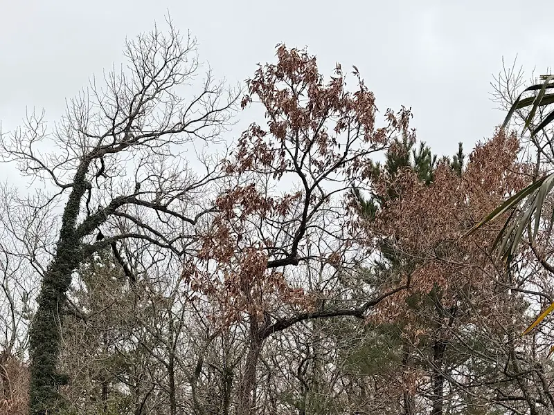 식당 주변 풍경