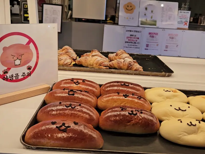 다양한 종류의 빵