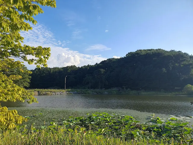 상상손두부 주변 풍경