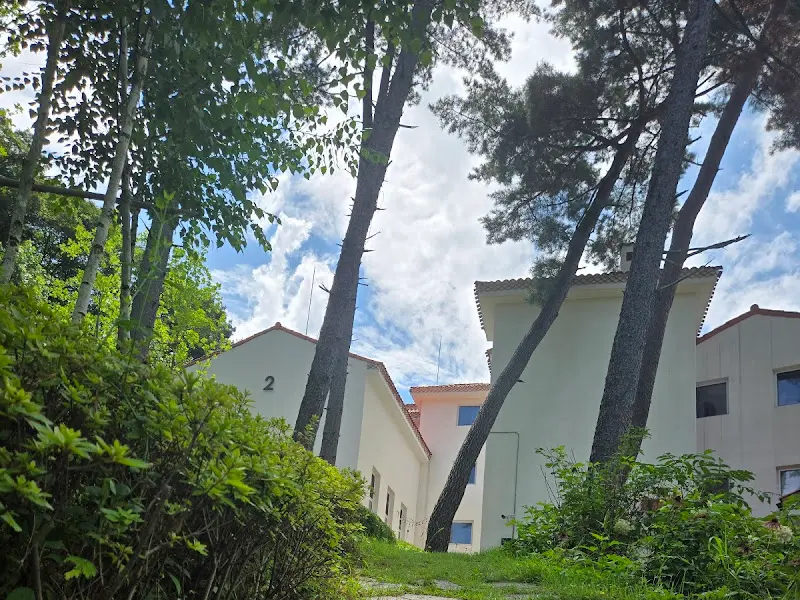 푸른 잎 사이로 보이는 건물