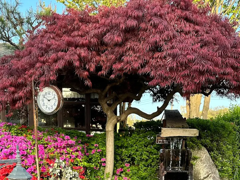 메주꽃 주변 풍경