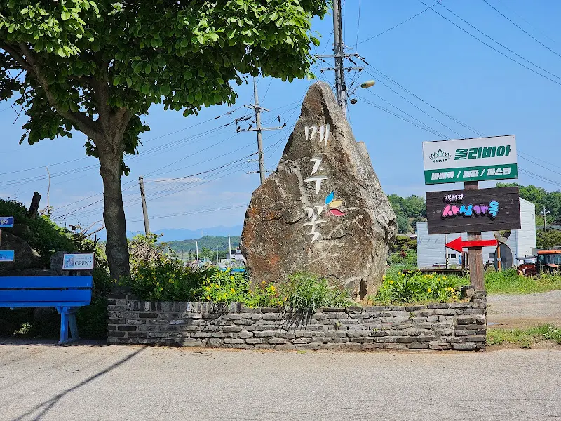 파주 맛집 메주꽃