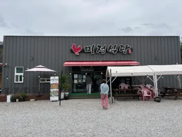 자유로운 닭들이 증명하는, 청송군 토종닭의 과학적 풍미 체험기: 미정식당 진짜 맛집