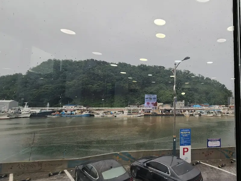 창밖으로 보이는 강구항 풍경