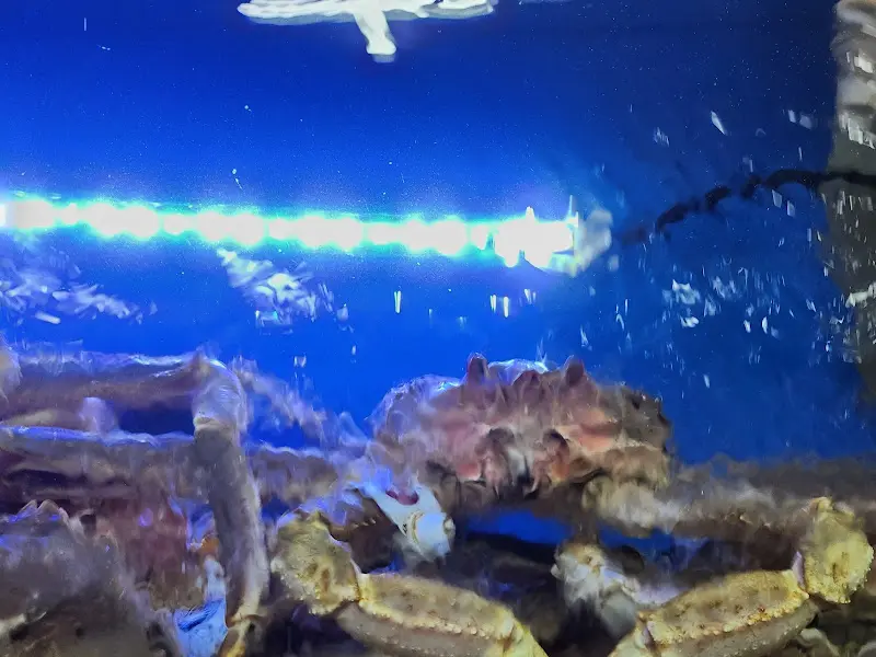 수족관 속 대게