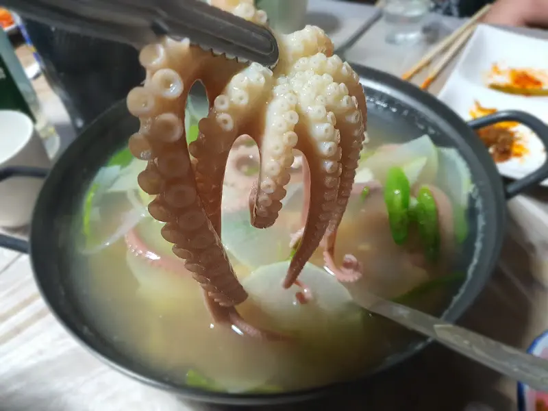 맑은 국물에 담긴 연포탕 속 낙지