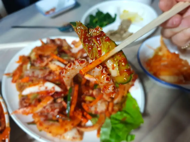 젓가락으로 집어올린 낙지 초무침