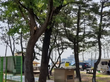 여름휴가는 여기서 끝! 아이와 함께라면 무조건, 태안 파도리 해수욕장 맛집 완전정복