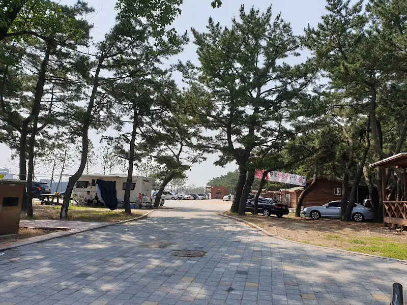 해수욕장으로 향하는 길