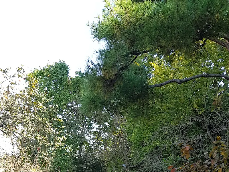 춘향골 외부 모습