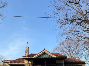 옛 정취 가득한 숲속, 의정부 데이트 명소 포어레스트에서 즐기는 케이크 맛집